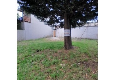 Lote de Terreno Barrio El Alfar
