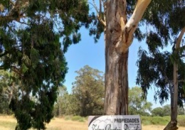 Lote  de Terreno, Calle 461 Entre 50 y 52 Lomas de San Patricio